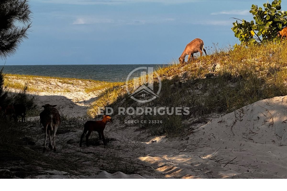 praia-tabuba-do-morro-branco-ceara