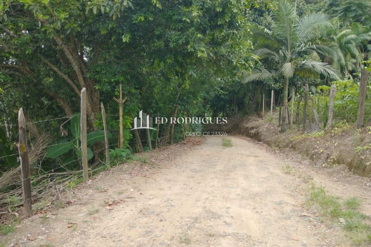 Estrada em sítio em Pedro de Toledo SP