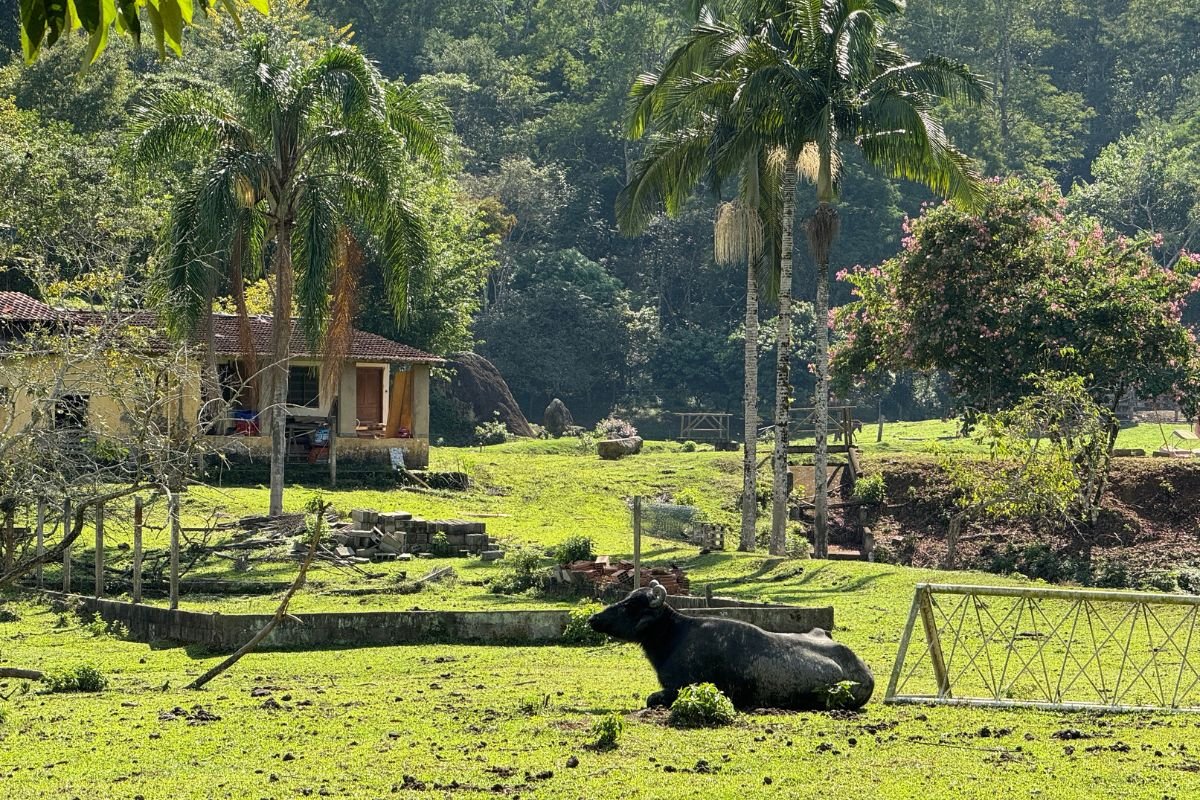 Fazenda em Pedro de Toledo