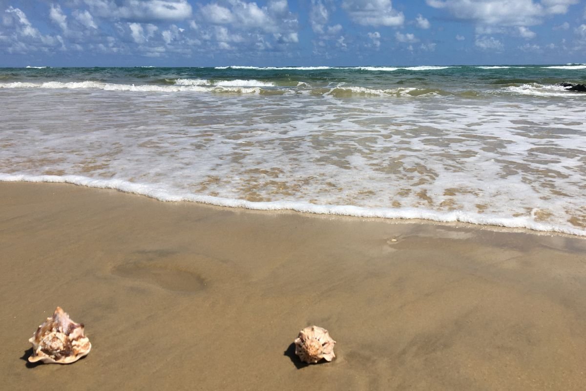 future-beach-fortaleza