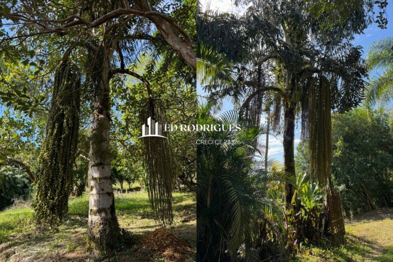 sitio-venda-pedro-de-toledo-sp