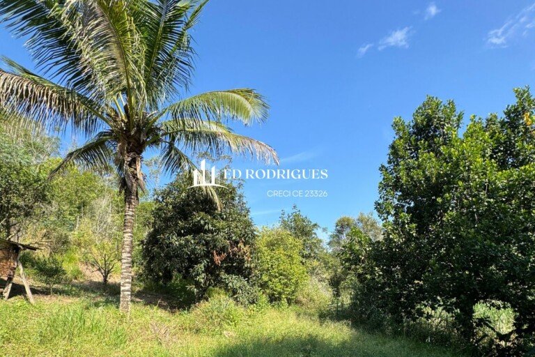 sitio-venda-pedro-de-toledo-sp-area-rural