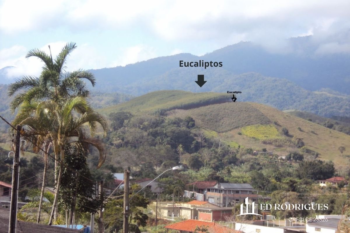 Sítio em Pedro de Toledo SP à venda