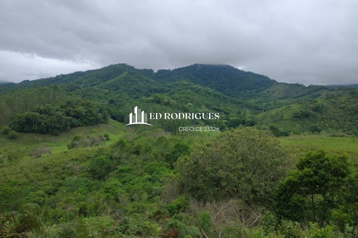 Sítio em Pedro de Toledo SP