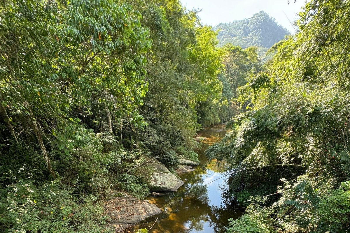 riacho-em-pedro-de-toledo-sp