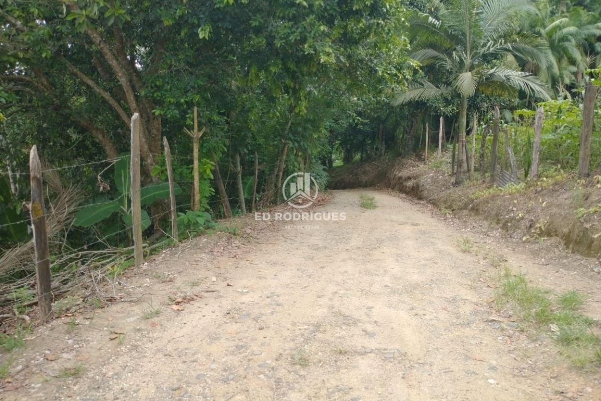 venda-sitio-em-pedro-de-toledo